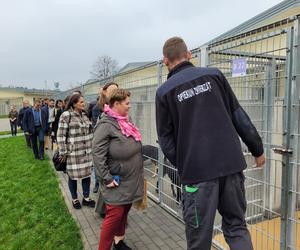 Podsumowanie działalności Centrum Opieki nad Zwierzętami w Grudziądzu