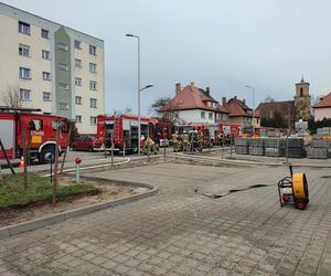 Lubuskie: Pożar pawilonu handlowego w Zbąszynku