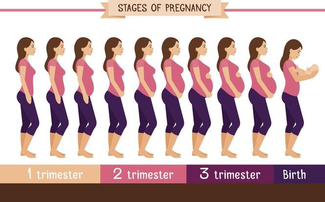 Jak rośnie brzuch w kolejnych tygodniach ciąży?