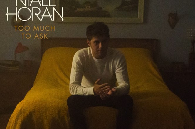 Niall Horan - Too Much To Ask