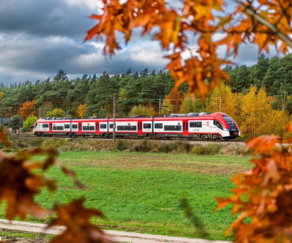 Twoja opinia ma znaczenie! Koleje Wielkopolskie zbierają głosy pasażerów