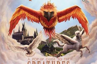 Harry Potter: Pop-Up 