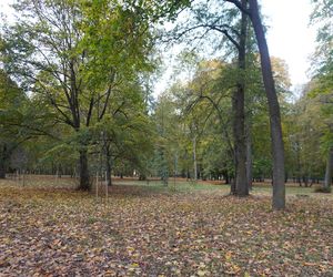 Park Lubomirskich w Białymstoku jesienią 