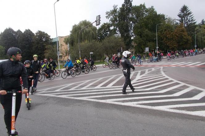 Elbląski Dzień Bez Samochodu