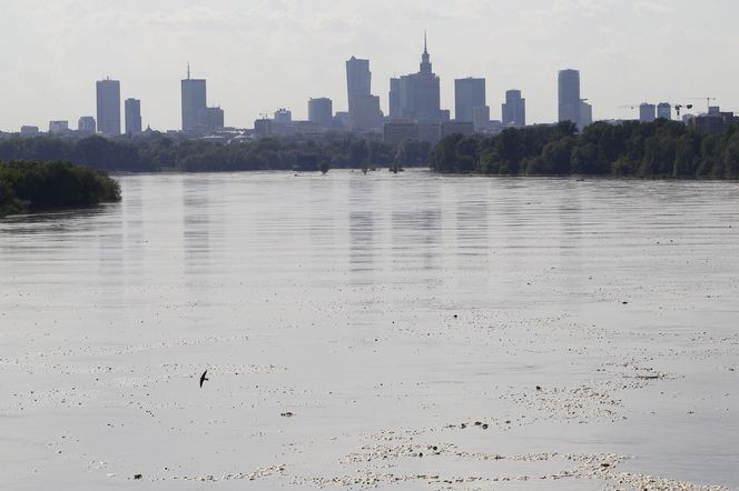 Widok na wieżowce z Mostu Siekierkowskiego w 2014 roku