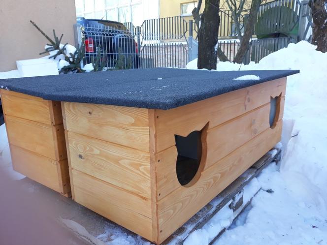 Cztery nowe oazy dla kotów w Suwałkach [ZDJĘCIA]