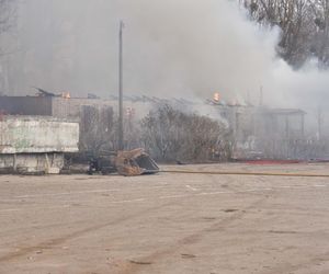 Pożar pustostanów przy ul. Grudziądzkiej w Toruniu. To nie pierwszy raz!
