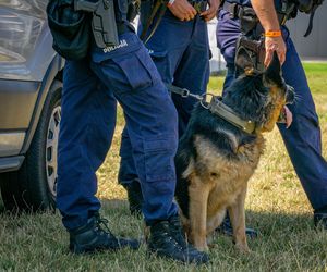Tyle razy w Polsce uruchamiano Child Alert! Ile razy pomógł?