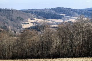 Czy to już koniec zimy w Bieszczadach? 