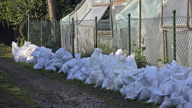 Głogów przygotowuje się na fale wezbraniową na Odrze. Ta ma dotrzeć około godziny 14