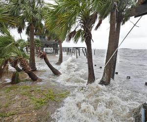 Huragan Debby wyrzucił na plaże kokainę wartą milion