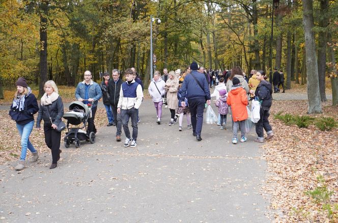 Tłumy na cmentarzu na Miłostowie