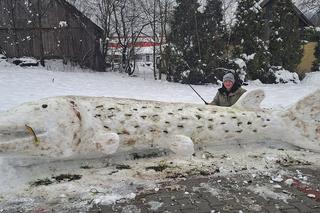 Ulepił ze śniego gigantyczne ryby
