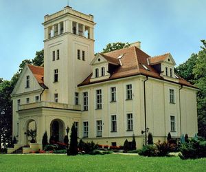 Pałac w Witosławiu