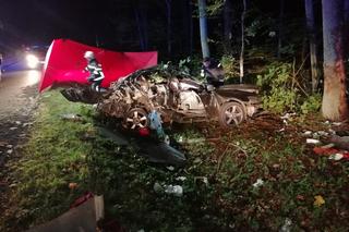 Śmiertelny wypadek pod Działdowem! 25-latka zginęła w rozbitej hondzie [ZDJĘCIA]v