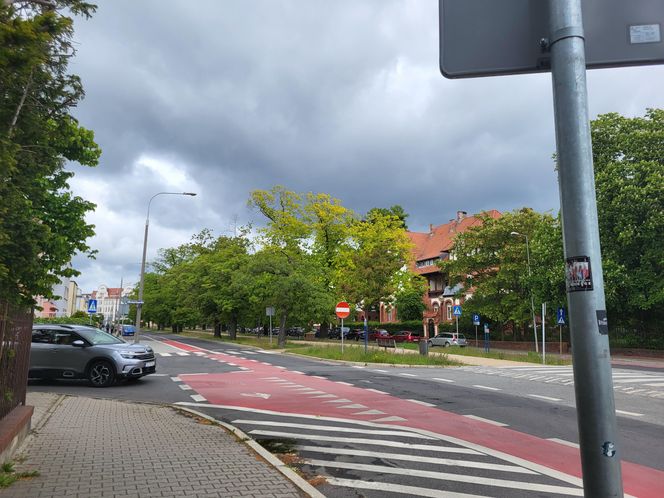 Aleja Dębowa w Bydgoszczy, czyli żywa historia wśród zieleni