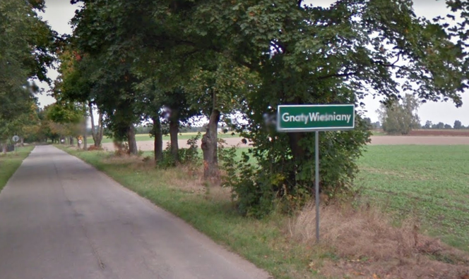 Gnaty Wieśniany