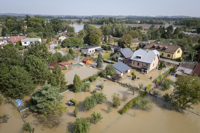 Burmistrz wyjechała na drogie wakacje, w tym czasie jej miasteczko zalała wielka fala. "Nie wrócę"