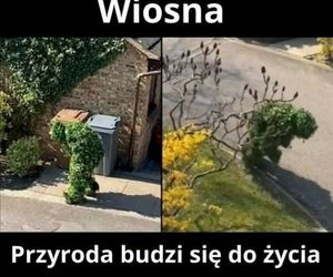 Wiosna 2025: Memy opanowały internet! Zobacz najzabawniejsze memy na powitanie wiosny [21.03.2025]