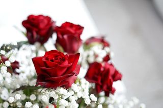 Kartki na imieniny Aleksandry. Pobierz darmowe grafiki imieninowe z życzeniami dla Oli [20.03.2025]