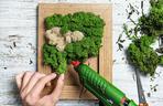 DIY: ekoobrazek z porostu – instrukcja wykonania (2)