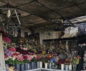 Spłonęła kwiaciarnia w Zabrzu. Było to podpalenie, a straty oszacowano na 100 tys. zł