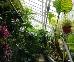 Ogród Botaniczny w Lublinie