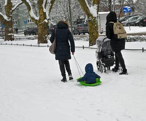 Śnieżny Szczecin 