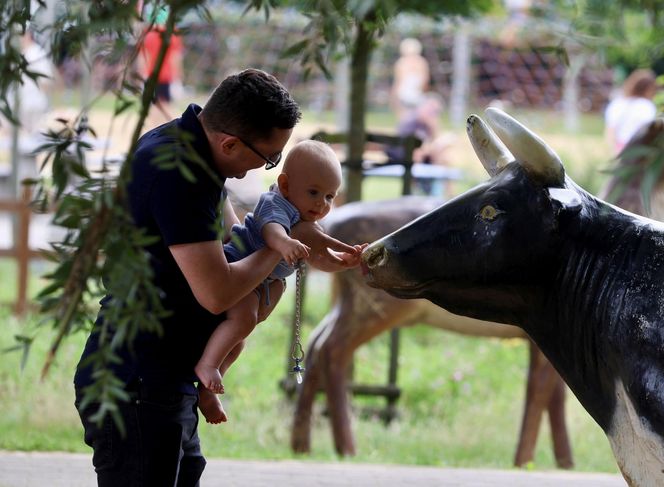 Miłosz Motyka. Energia rozpiera ministra