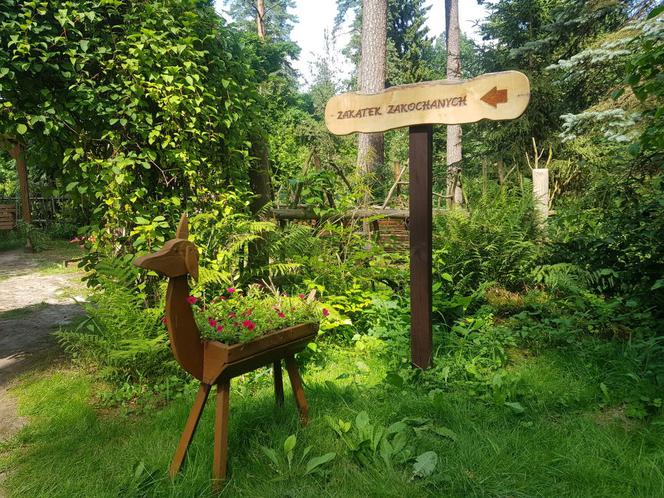 Leśne Arboretum Warmii i Mazur w Kudypach