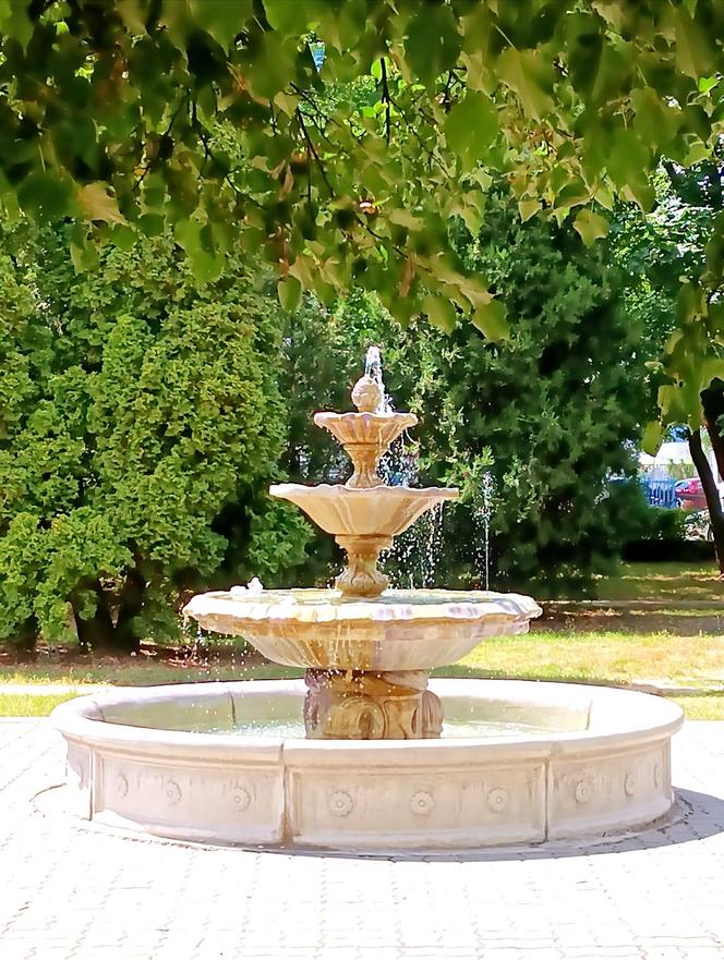 Parkowa fontanna