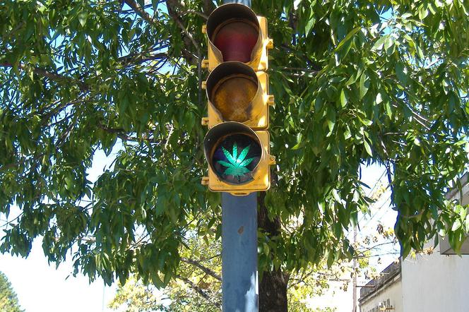 Czy marihuana dostanie w Polsce zielone światło?