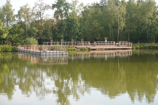 Park Leśny Tetmajera w Bronowicach