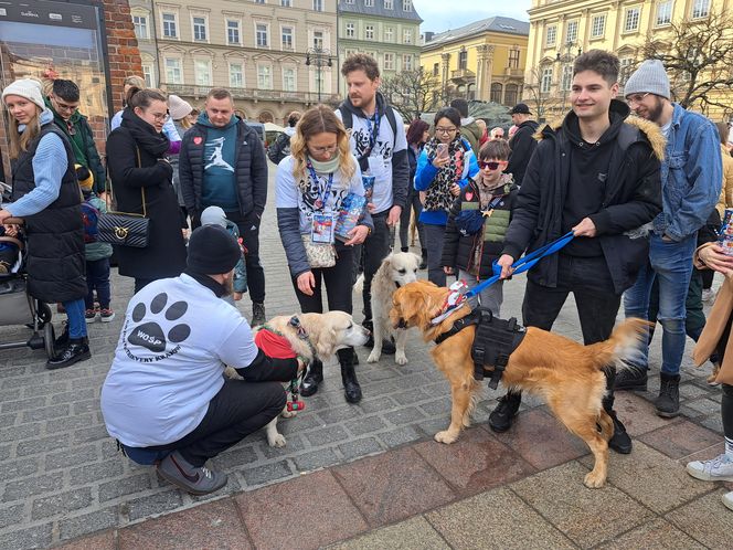 Wolontariusze na ulicach polskich miast