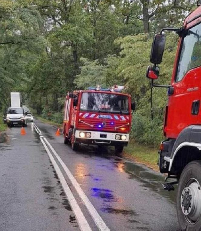 Mitsubishi wypadło na pobocze i uderzyło w drzewo. Nie żyje 36-latka. Zginęła z tej przyczyny?