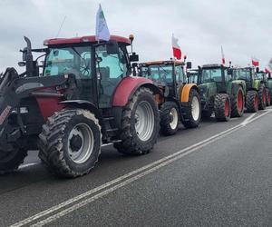 Protest rolników na tydzień zablokuje drogi w powiecie łosickim. Duże utrudnienia od 6 do 13 marca na DK 19, DW 2007 i DW 2045