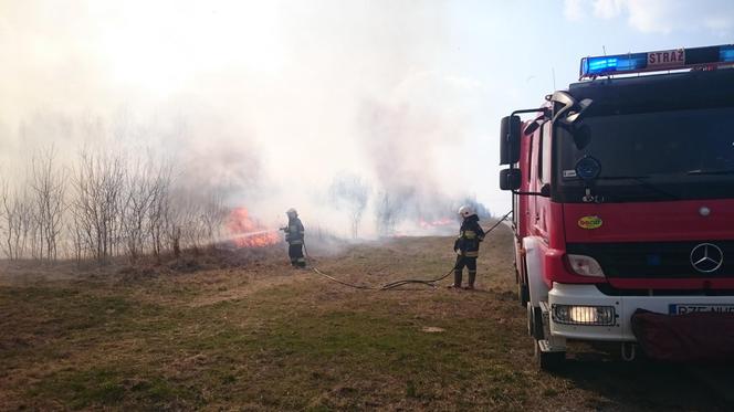 Mieszkańcy Podkarpacia masowo wypalają trawy