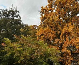 Ogród Botaniczny we Wrocławiu