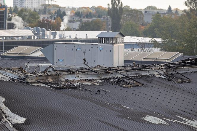 Policja szuka przyczyny pożaru