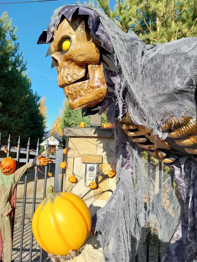 U Łukasza z Pawłowa hasło "cukierek albo psikus" nabiera innego wymiaru. Najbardziej halloweenowy dom świętokrzyskiego