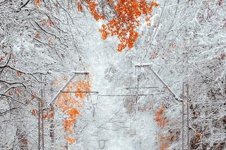 WARSZAWIAKI 2023. To już ostatnie dni, by zagłosować na najlepsze w Warszawie!