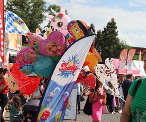 Cukier skakał od samego patrzenia! Tak w Lublinie wyglądał Bajkowy Festiwal Słodkości i Smaku