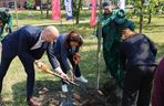 Obietnica frekwencyjna dotrzymana! Prezydentki Gdańska i Gdyni zasadziły drzewo