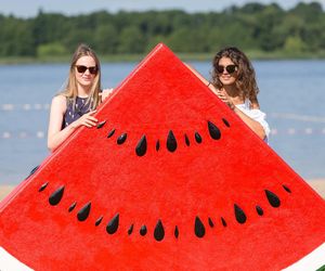 Owocowa Plaża w Zborowie 