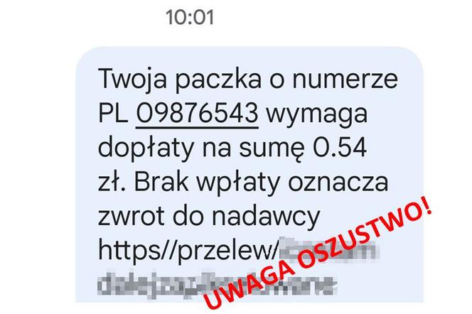 Bezczelni oszuści atakują na terenie woj. kujawsko-pomorskiego. Takie wiadomości wysyłają