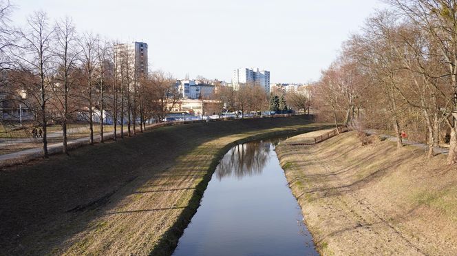 Mieszkańcy Lublina poczuli wiosnę. Na termometrach było ponad 20 stopni! Wiosenna odsłona Parku Ludowego w obiektywie