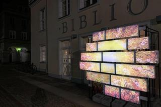 Wyjątkowa instalacja ozdobiła Stare Miasto w Olsztynie. „Antidotum na wszechobecną szarość” [ZDJĘCIA]