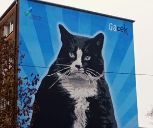 Mural z kotem Gackiem już odsłonięty