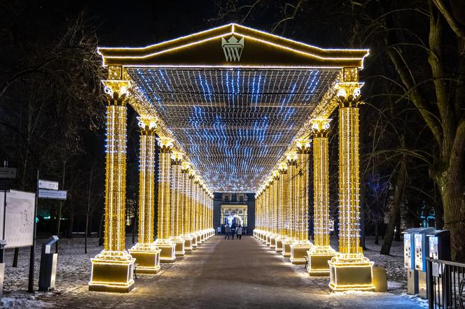 Królewski Ogród Światła - zobacz zdjęcia klimatycznych iluminacji w Warszawie