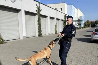 służba i pasja mogą iść w parze